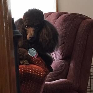 Meet your Posher, Leah